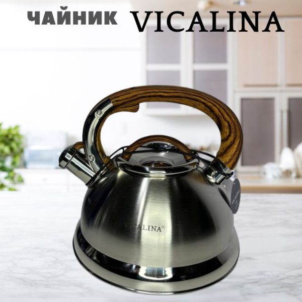 Чайник 3л Vicalina фигурный